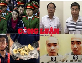 Bản tin pháp luật 8H ngày 15/06/2020