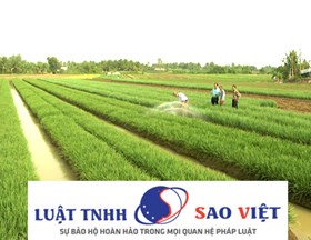 Có được chuyển sang trồng cây ăn quả lâu năm trên đất trồng lúa?