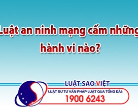 Luật an ninh mạng cấm những hành vi nào?