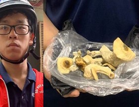 Phát hiện ma túy “nấm thức thần” lần đầu tiên xuất hiện tại Hà Nội